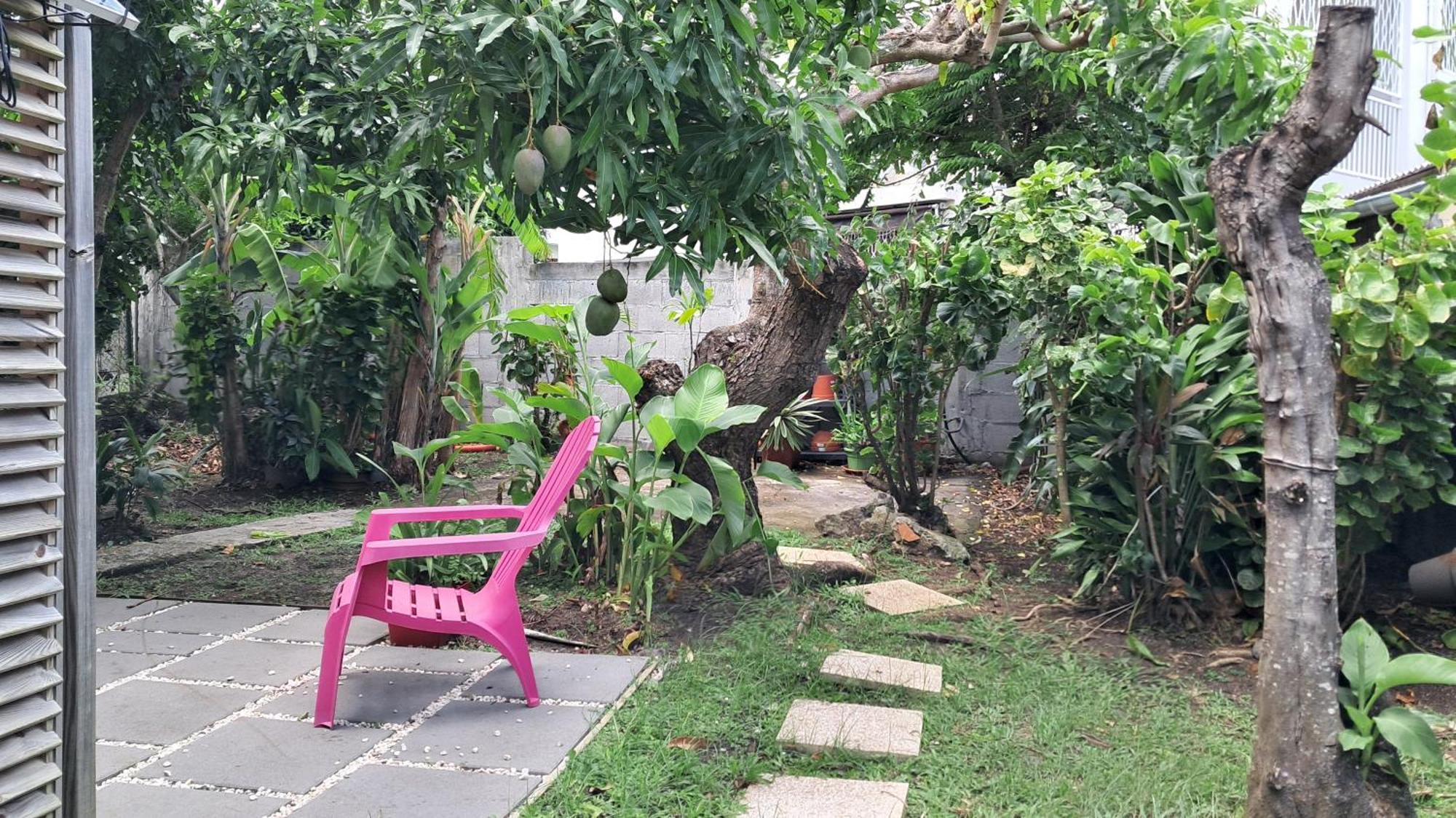 Agreable F2, Jardin, Garage, Fibre, Clim Ch Lägenhet Fort-de-France Exteriör bild
